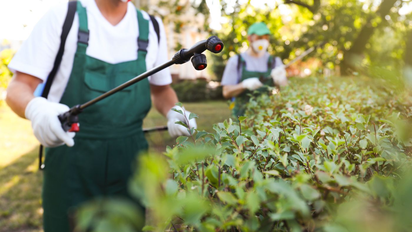 Why You Need To Seek Out Natural Pest Control Solutions